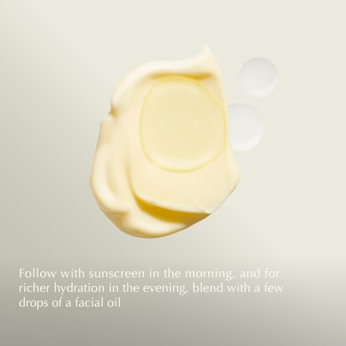 Perfect Facial Hydrating Cream | Vitamin C & E Face Moisturizer for Normal to Dry Skin | N