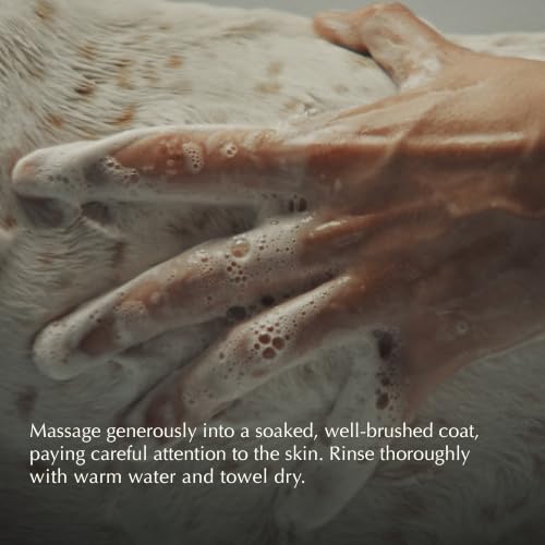 Pet Shampoo | Mild Dog Shampoo and Coat Wash that Gently Cleanses and Calms Skin with Odor