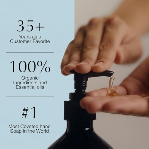 Reverence Aromatique Exfoliating Hand Wash | Exfoliating Hand Soap with Finely Milled Pumi