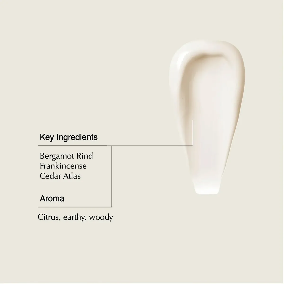 Shampoo & Conditioner Refill Set (Pack of 2)