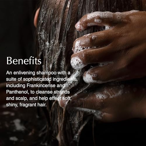 Shampoo Refill | Soften Hair and Restore Shine - For All Hair Types | Bergamot Rind