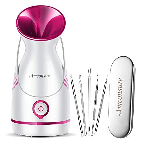Nano Ionic Warm Mist Steamer