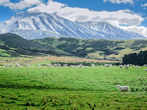 Antler Farms - 100% Pure New Zealand Lanolin, 100g