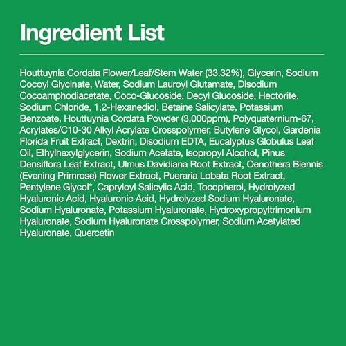 Heartleaf Quercetinol Pore Deep Cleansing Foam