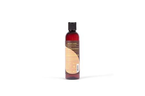 Curl Clarity Shampoo