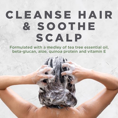 Scalp Treatment Tea Tree Shampoo