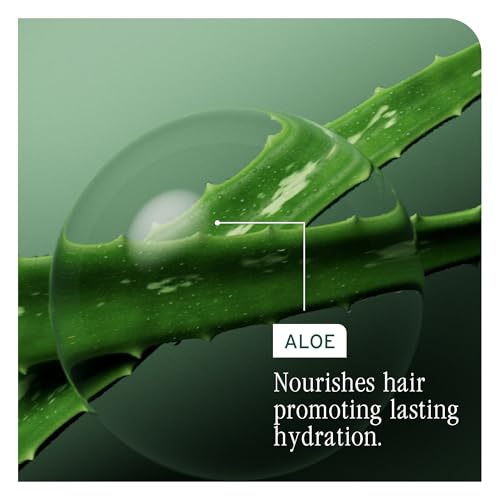 Hydra Source Shampoo dry hair
