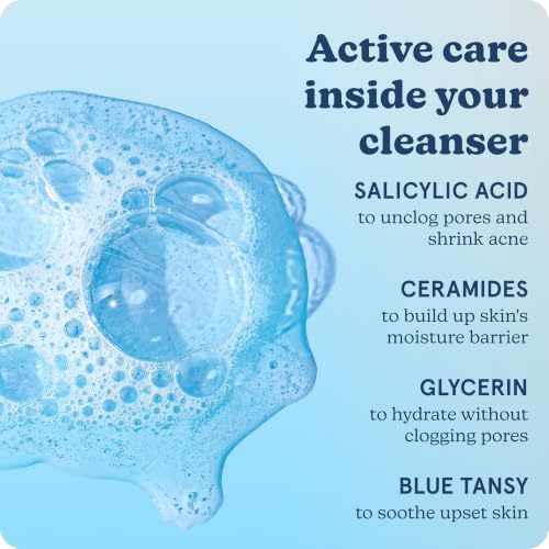 Meltdown Salicylic Acid Cleanser