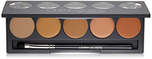 Ultimate Corrector 5-in-1 Palette No.1