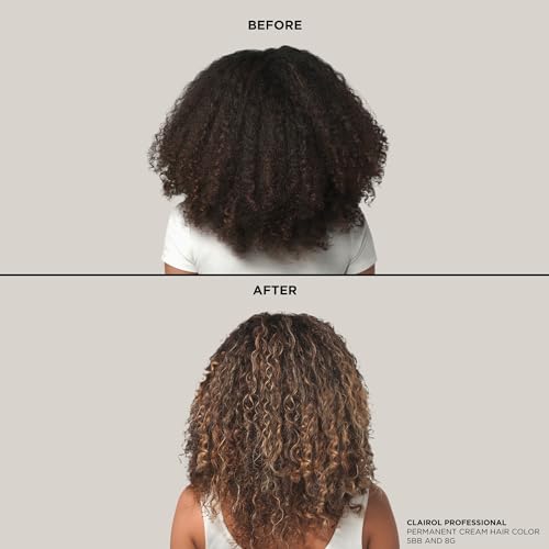 BW2+ Extra Strength Powder Lightener