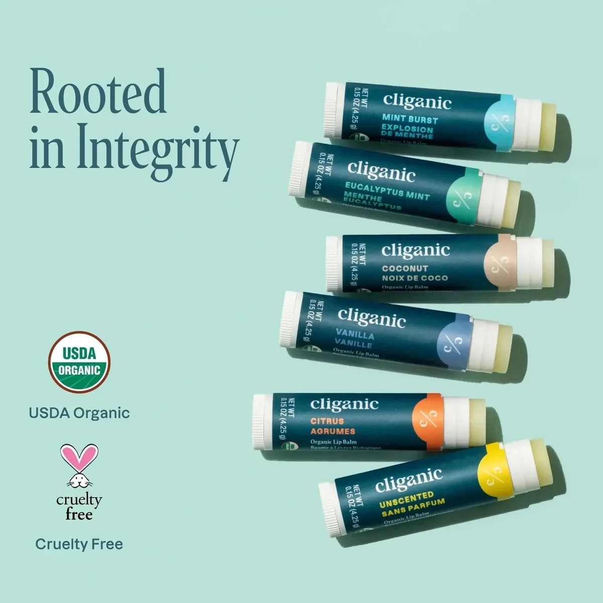 Organic Lip Balm Set (6 Flavors)