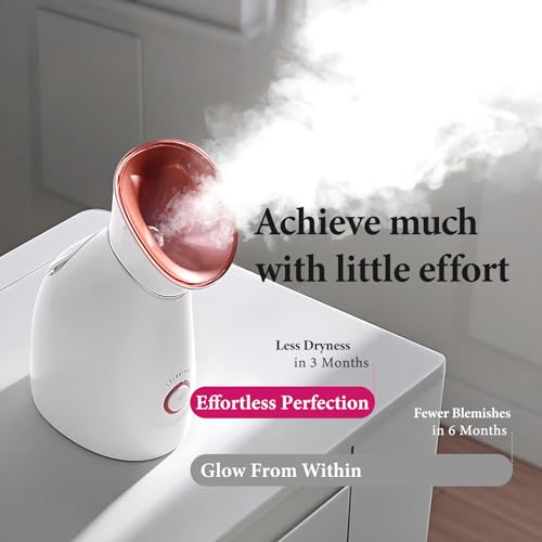Nano Ionic Home Spa Steamer