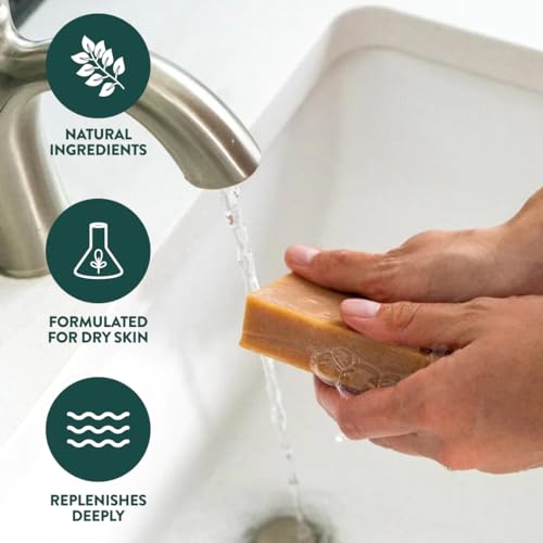 , Handmade in Canada, Plant Based Cold Process Natural Bar Soap, With Premium Essential Oils, Dry Skin, Pack of 6 (For Him)