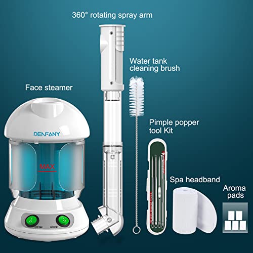 Ozone Steamer with 360 Arm