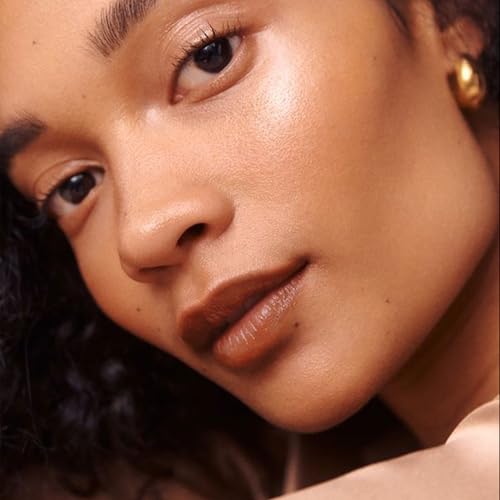 Brown Lipstick for Women Moisture Lip Gloss Tinted Lip Balm