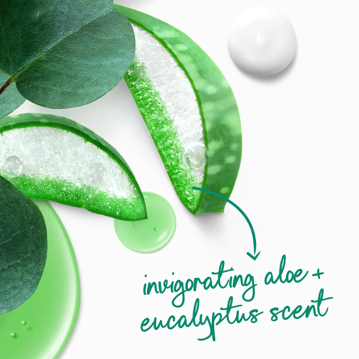 Aloe & Eucalyptus Body Wash