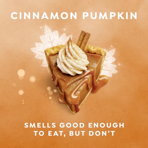 Limited Edition Holiday Treats Body Wash Cinnamon Pumpkin Pie