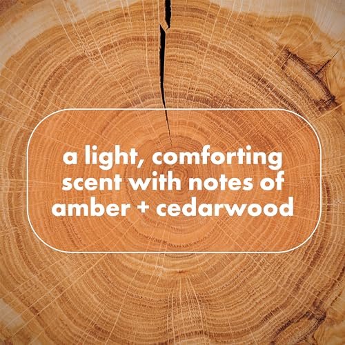 Whole Body Deo Shea Butter Cedar