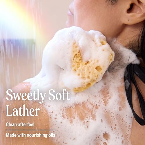 Organic Sugar Soap (Lemongrass, 12 Ounce) - Made with Regenerative Certified Organic Oils, Sugar & Shikakai Powder, 4-in-1 Use: Hands, Body, Face and Hair- Liquid Soa