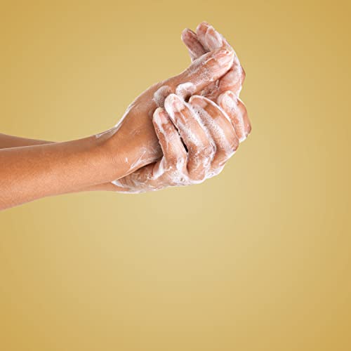Milk & Honey Body Wash