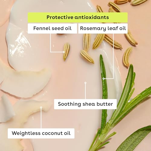 100% Natural & Organic Lip Balm Sticks - Vanilla Bean, All Natural Lip Balm, All-Day Moisture, Dermatologist Recommended, 0.14 oz, 2-Pack