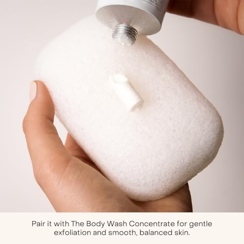 Compostable Konjac Sponge