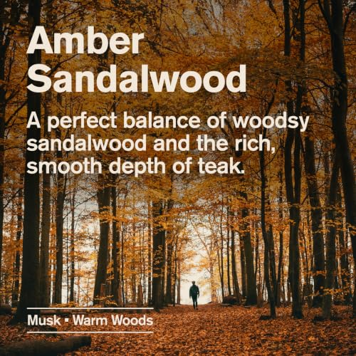 Amber Sandalwood Body Wash for Men