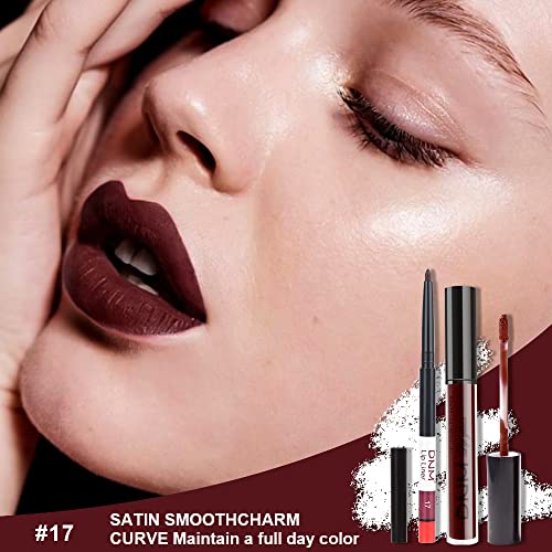 Burgundy Matte Lipstick Liner Set