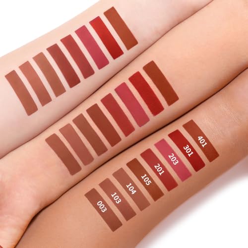 Matte Lipstick Terracotta Red 104