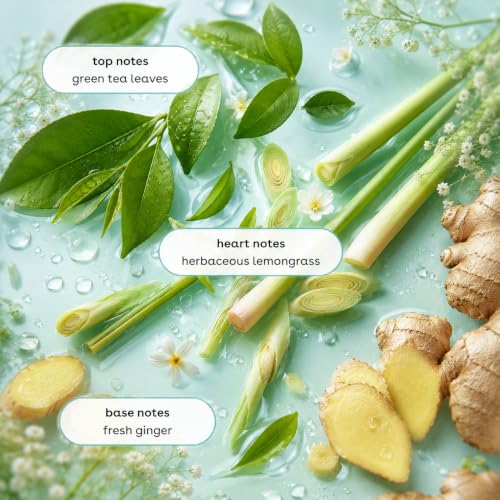 12 fl oz Nourishing Body Wash, Green Tea/Lemongrass Scent