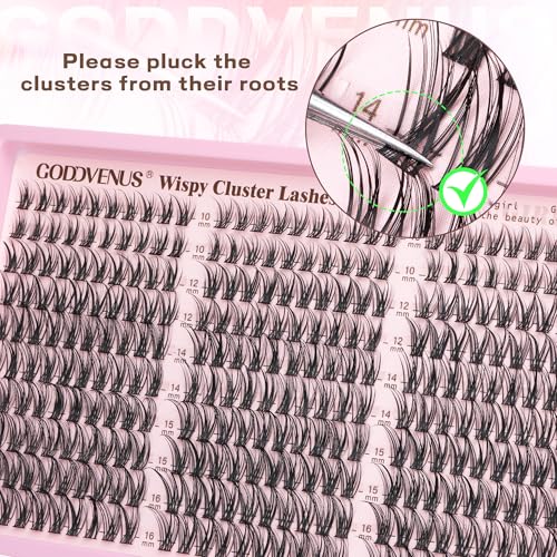 Goddvenus Lash Clusters Kit Wispy Eyelash Clusters L