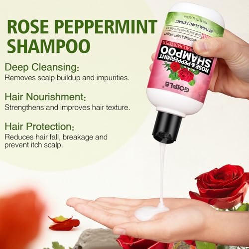 2-in-1 Shampoo & Conditioner for All Types of Dreadlocks and Hairstyles Shine