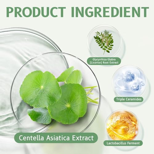 Cica Face Moisturizer