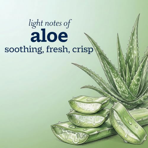 Body Wash Designed for the Whole Family, Aloe Scent