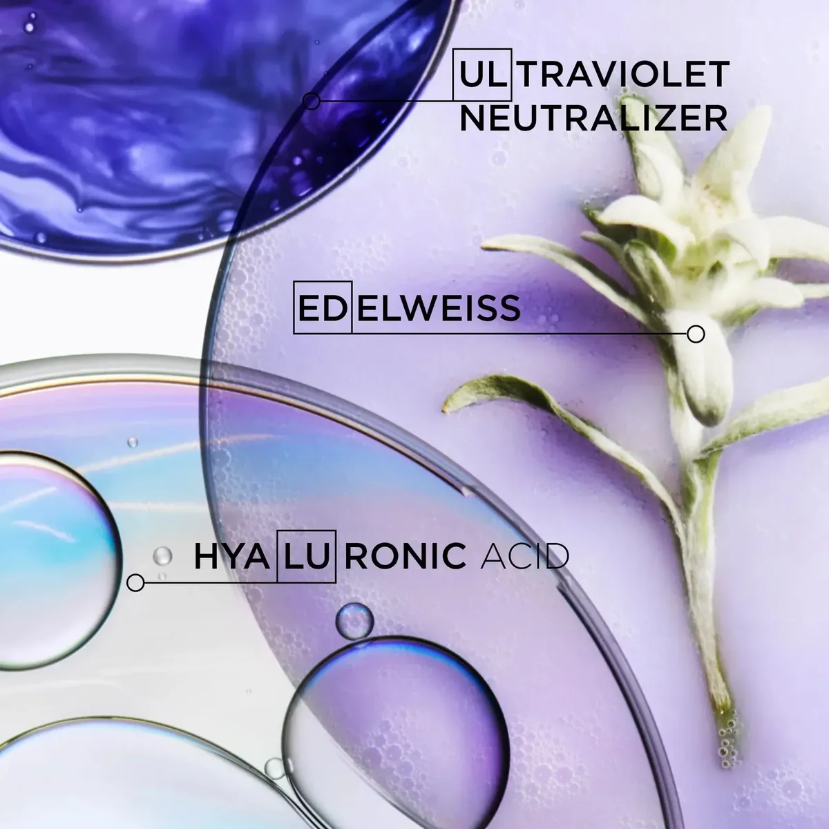 Blond Absolu Ultra-Violet Shampoo
