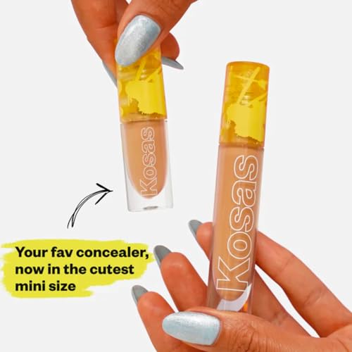 Revealer Concealer Mini