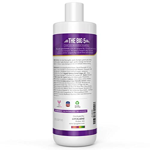 Big 5 Hair Stimulating All Natural Shampoo for Hair Thinning & Breakage (purple) (