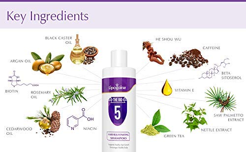 Big 5 Hair Stimulating All Natural Shampoo for Hair Thinning & Breakage (purple) (