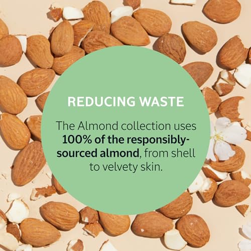 Almond Milk Concentrate