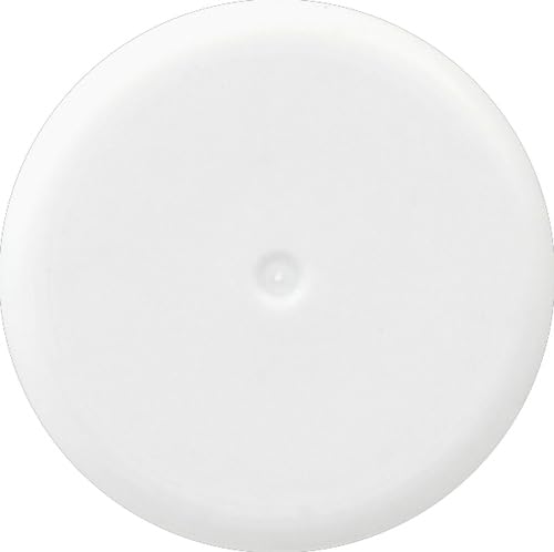 Colorista 1-Day Washable Spray, Silver