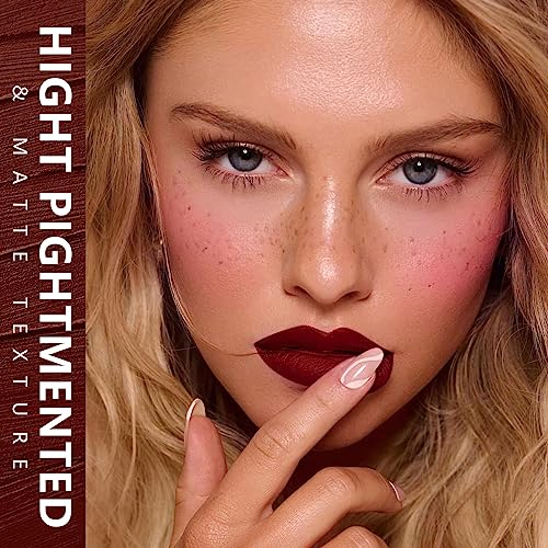 Dark Red Lipstick Matte for Women Long Lasting Lipsticks