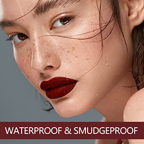 Dark Red Lipstick Matte for Women Long Lasting Lipsticks