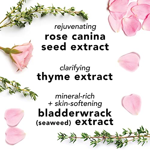 Facial Spray Aloe Herbs Rose Water
