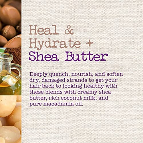 Heal & Hydrate + Shea Butter Hair Oil