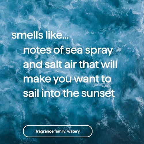 Dream Foam, Foaming Body Wash, Sea Spray + Salt Air, 13.5 oz
