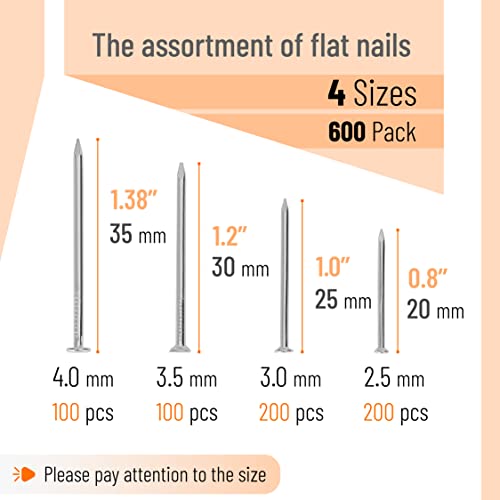 Nail Assortment Kit, 600 pcs, 4 Sizes, Silver Picture Hangers