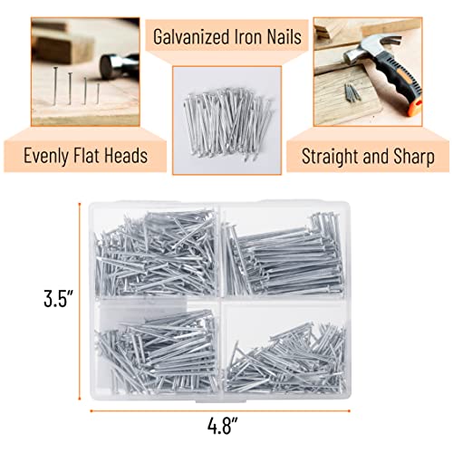 Nail Assortment Kit, 600 pcs, 4 Sizes, Silver Picture Hangers