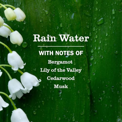 Liquid Hand Soap, Rain Water, 3-Pack