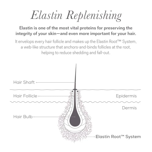 Shape Altering Eyebrow Serum