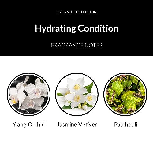 Hydrating Hair Conditioner, Moisturizing Deep Conditioner for Dry, Damaged Hair, 8.5 oz